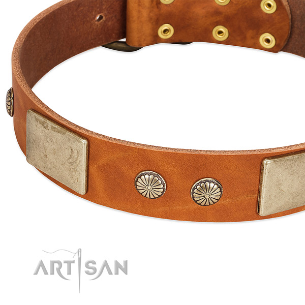 Reliable buckle on natural genuine leather dog collar for your pet