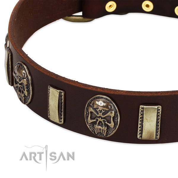 Corrosion resistant adornments on natural genuine leather dog collar for your dog
