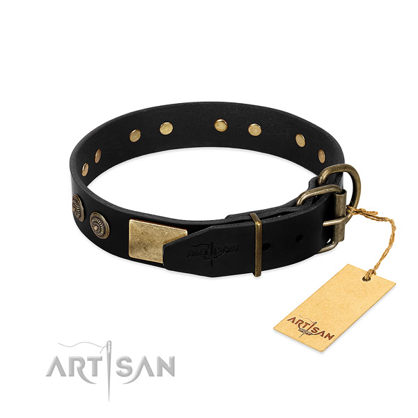 Strong adornments on full grain natural leather dog collar for your pet