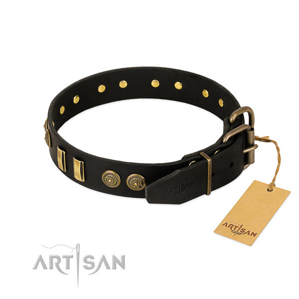 Strong embellishments on leather dog collar for your canine
