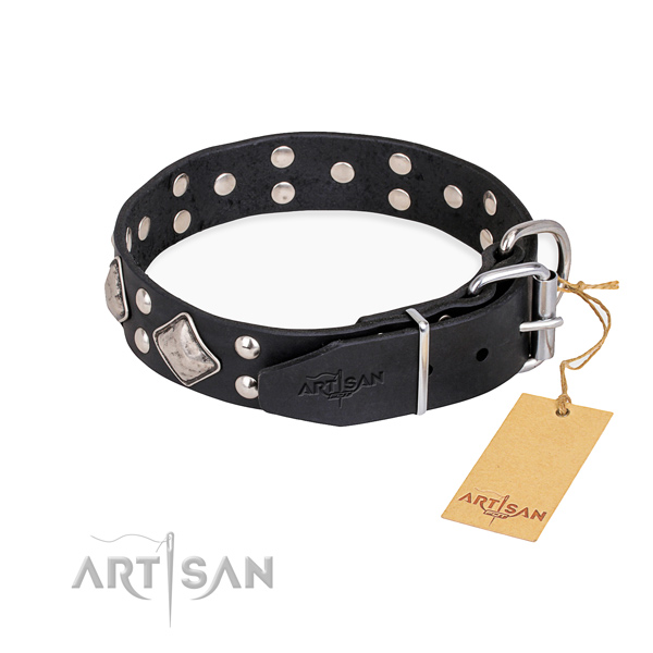 Natural leather dog collar with inimitable rust resistant studs