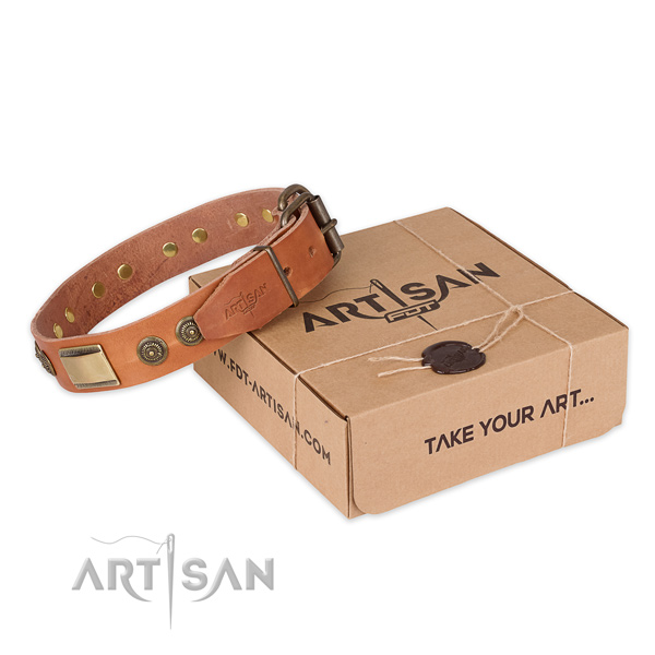 Rust-proof D-ring on full grain natural leather dog collar for easy wearing
