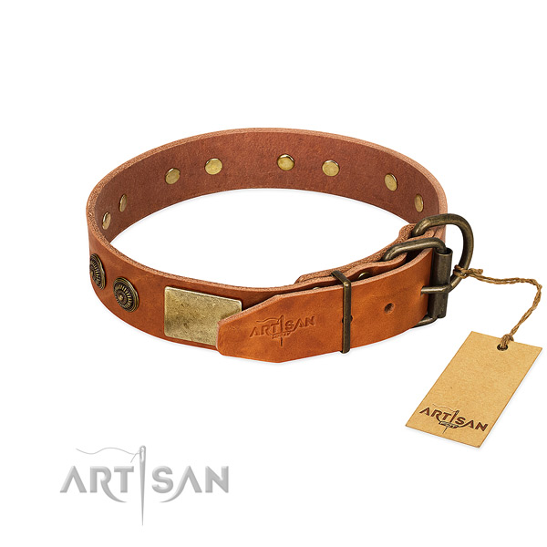 Corrosion proof fittings on genuine leather collar for everyday walking your canine