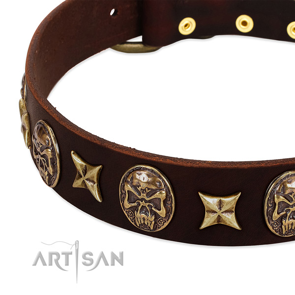Reliable studs on full grain natural leather dog collar for your doggie