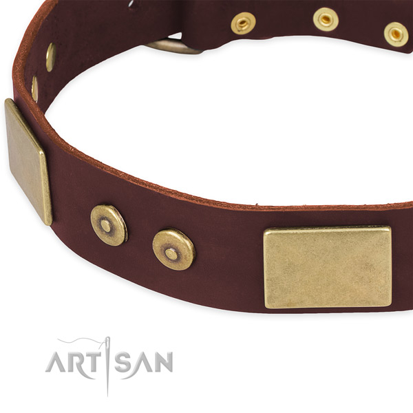 Genuine leather dog collar with embellishments for handy use