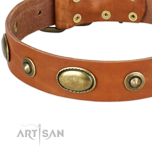 Corrosion resistant studs on genuine leather dog collar for your doggie