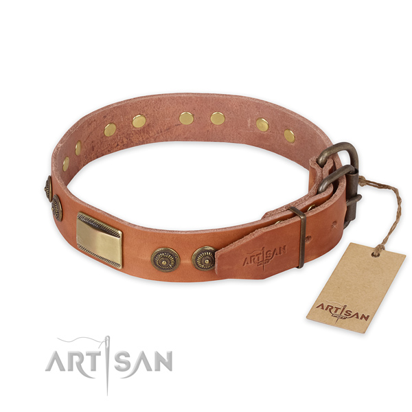 Durable D-ring on full grain leather collar for daily walking your pet