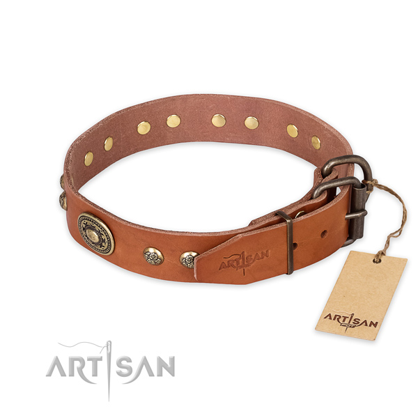 Corrosion resistant buckle on full grain leather collar for basic training your pet