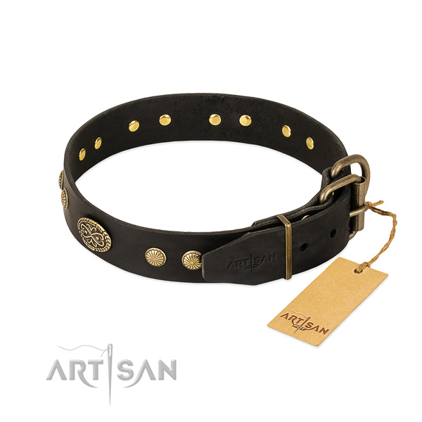 Corrosion proof D-ring on leather dog collar for your canine