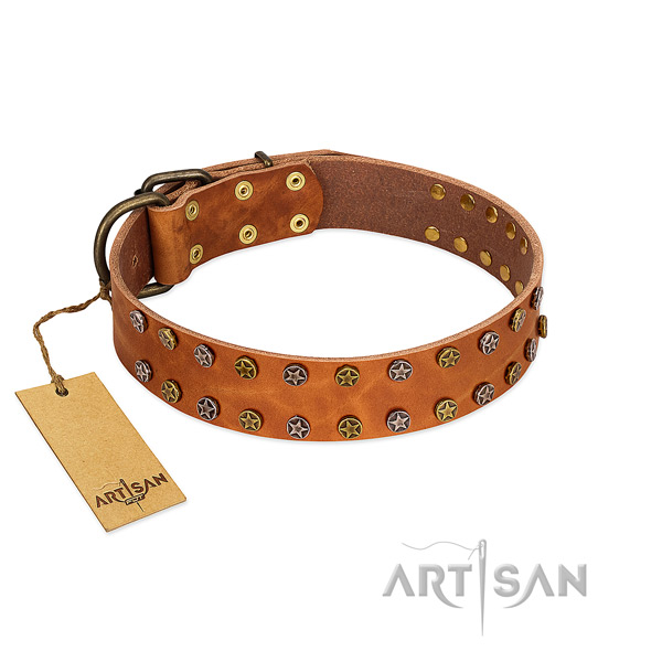 Handy use gentle to touch full grain natural leather dog collar with embellishments