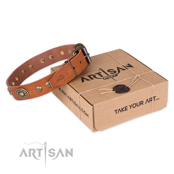 Rust resistant D-ring on leather dog collar for easy wearing