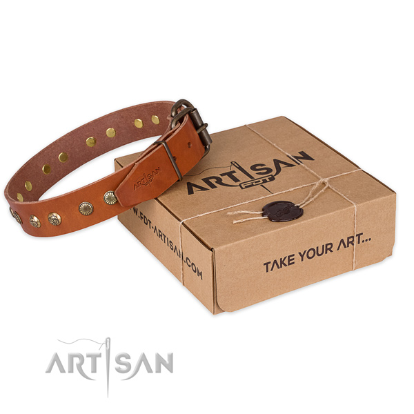 Rust-proof D-ring on genuine leather collar for your attractive dog