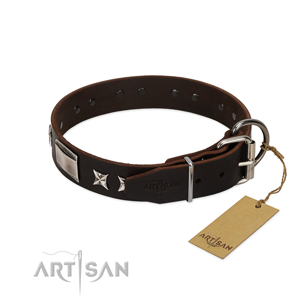 Amazing collar of natural leather for your stylish dog