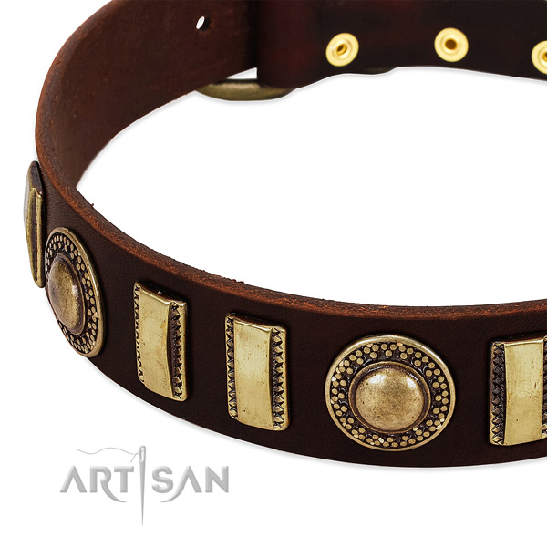 High quality full grain leather dog collar with rust resistant buckle