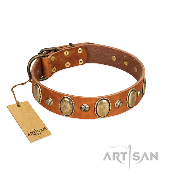 Genuine leather dog collar of best quality material with amazing embellishments