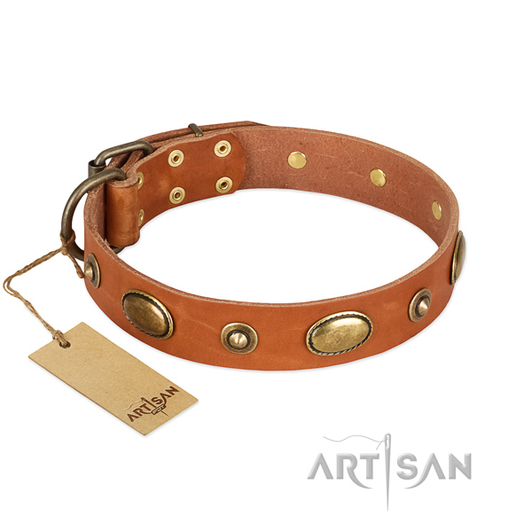Top notch genuine leather collar for your four-legged friend