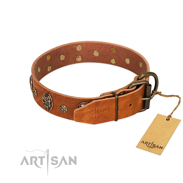 Strong decorations on leather dog collar for your canine