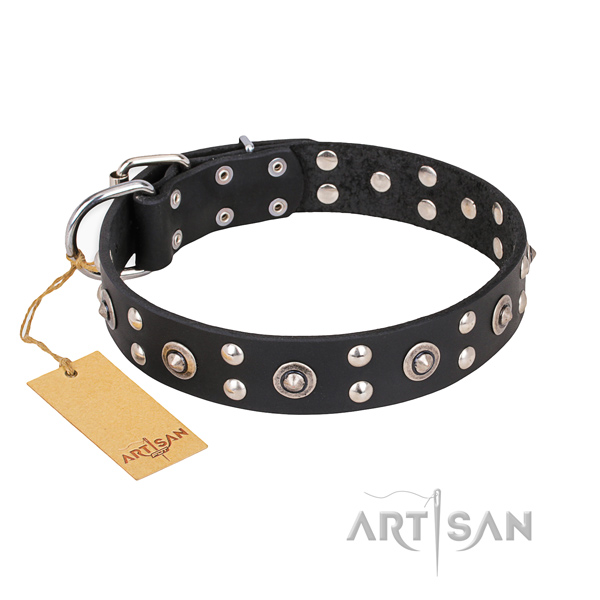 Fancy walking comfortable dog collar with corrosion proof fittings