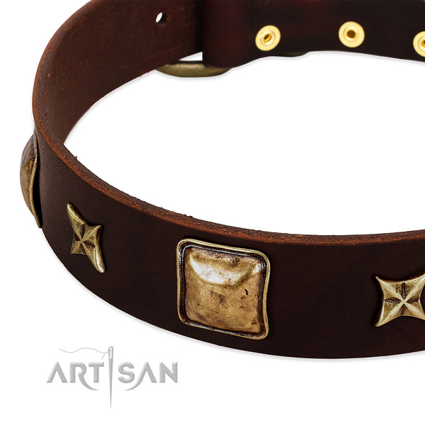 Reliable adornments on full grain natural leather dog collar for your four-legged friend