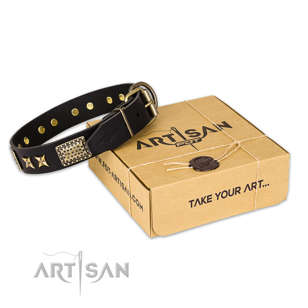 Rust-proof traditional buckle on leather collar for your impressive canine