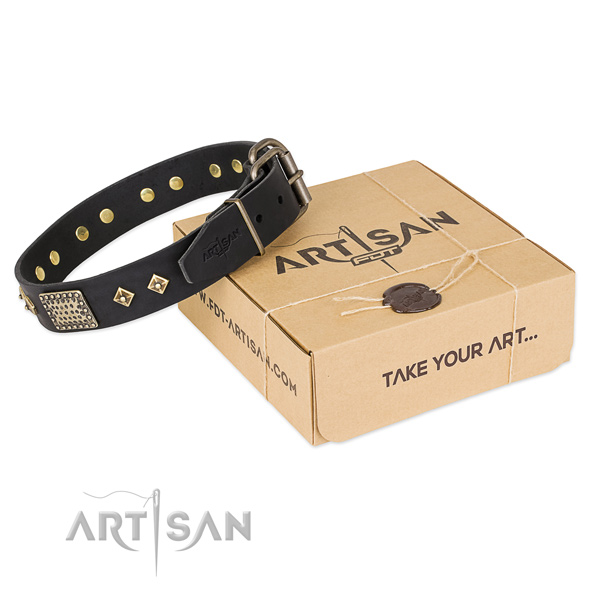 Trendy full grain natural leather collar for your beautiful four-legged friend