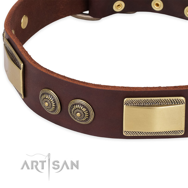 Remarkable full grain leather collar for your attractive four-legged friend