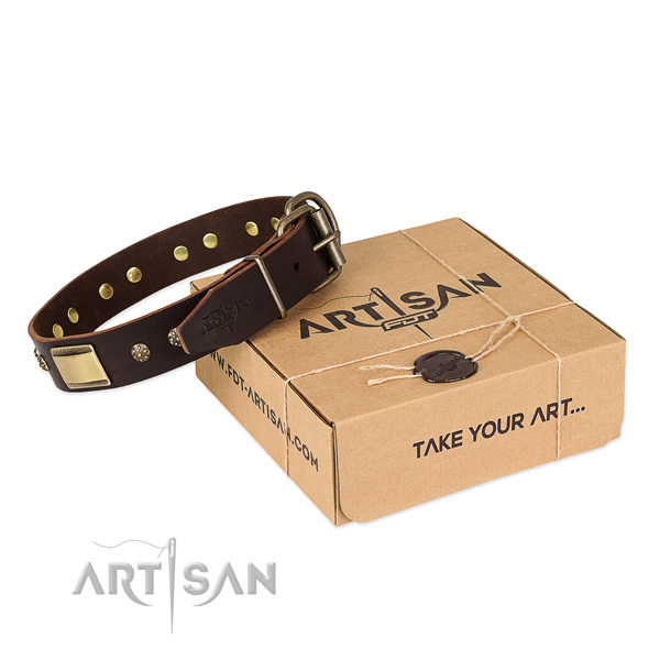Amazing genuine leather collar for your beautiful canine