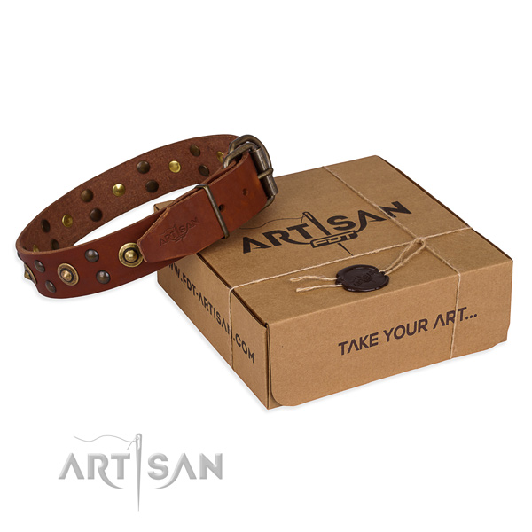 Reliable hardware on genuine leather collar for your impressive dog