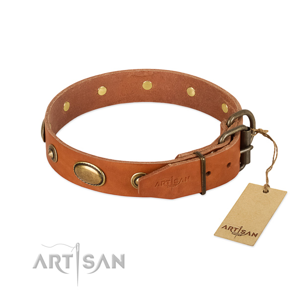 Corrosion proof adornments on leather dog collar for your dog
