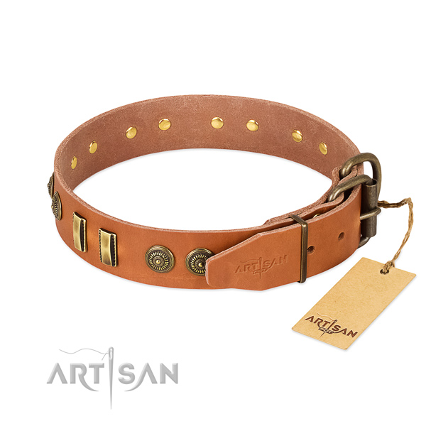 Durable adornments on full grain natural leather dog collar for your canine
