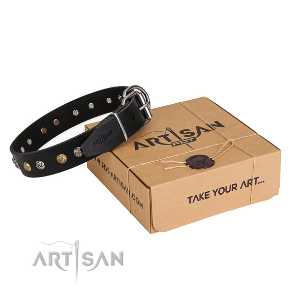 High quality full grain natural leather dog collar crafted for everyday use