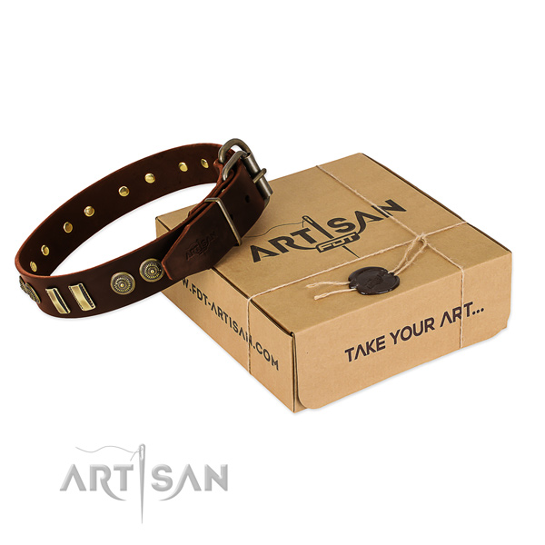 Rust-proof decorations on leather dog collar for your doggie