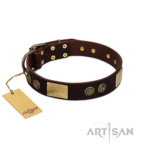 Rust-proof studs on genuine leather dog collar for your dog