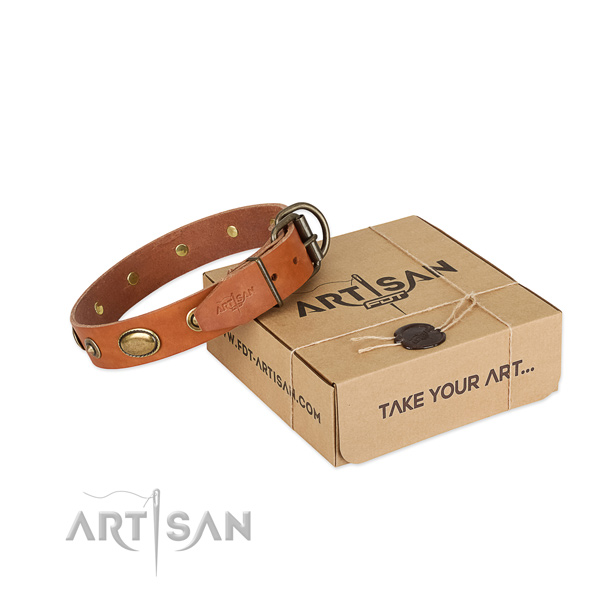 Rust-proof fittings on leather dog collar for your dog