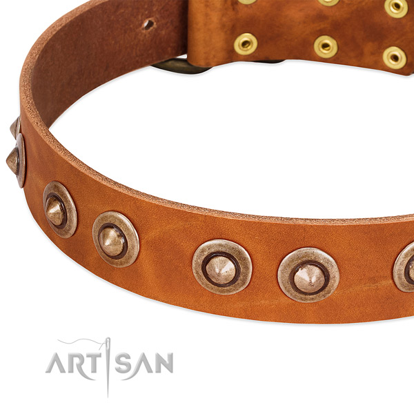Reliable studs on leather dog collar for your dog