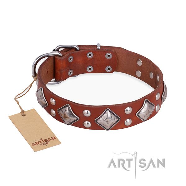 Comfortable wearing exquisite dog collar with strong hardware