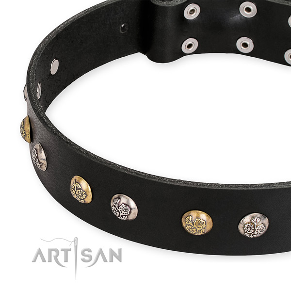 Full grain genuine leather dog collar with trendy rust-proof studs