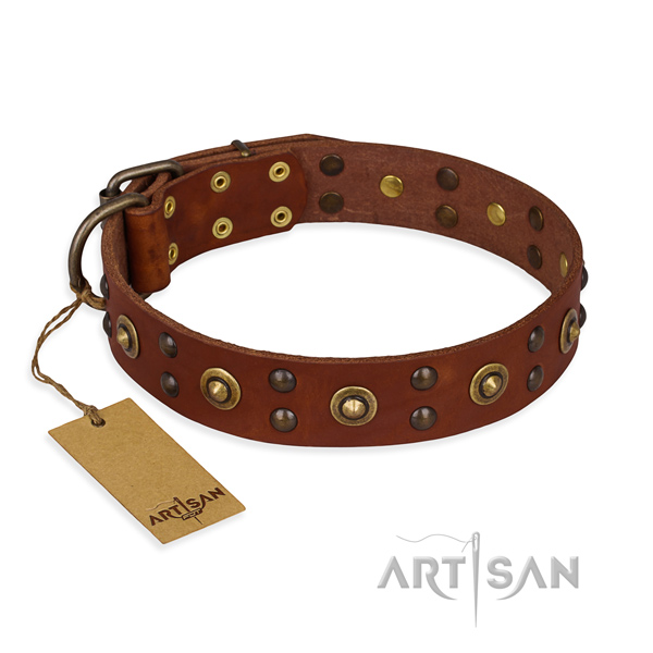 Significant genuine leather dog collar with corrosion resistant buckle