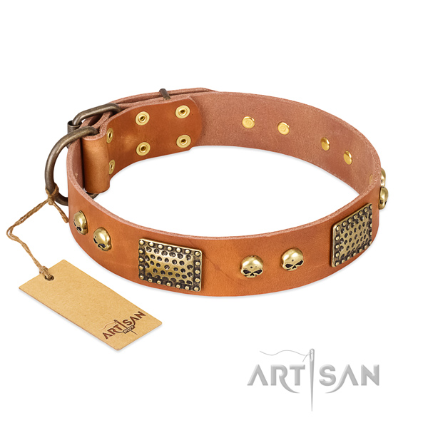 Easy wearing leather dog collar for everyday walking your four-legged friend