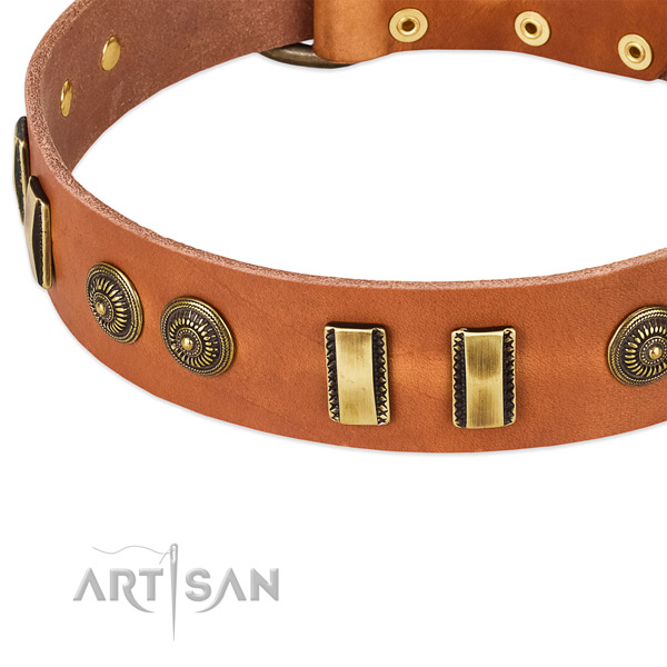 Corrosion resistant adornments on natural leather dog collar for your four-legged friend