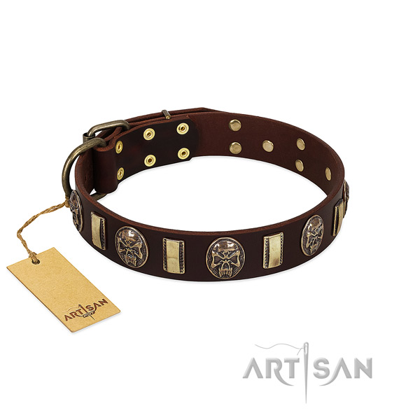 Adorned genuine leather dog collar for comfy wearing