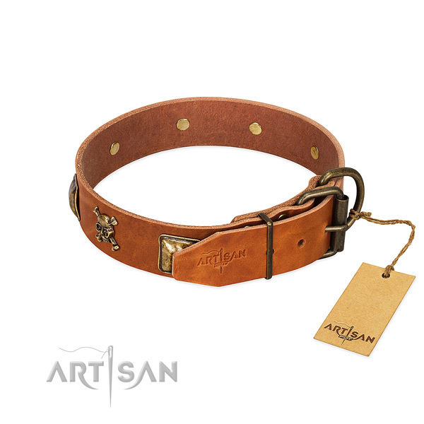 Fashionable full grain leather dog collar with corrosion proof embellishments