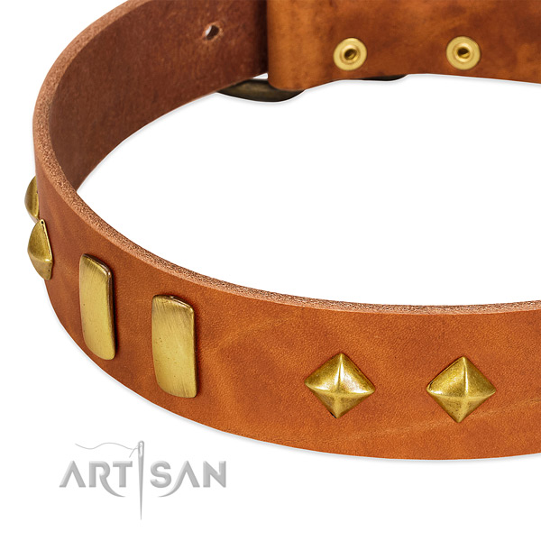 Stylish walking natural leather dog collar with fashionable embellishments
