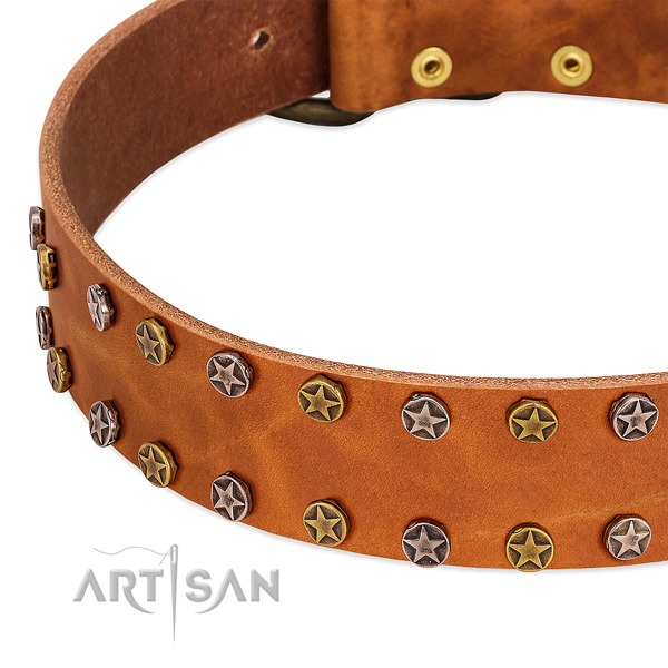 Walking natural leather dog collar with exceptional embellishments