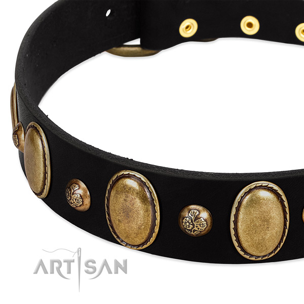 Full grain natural leather dog collar with stylish studs