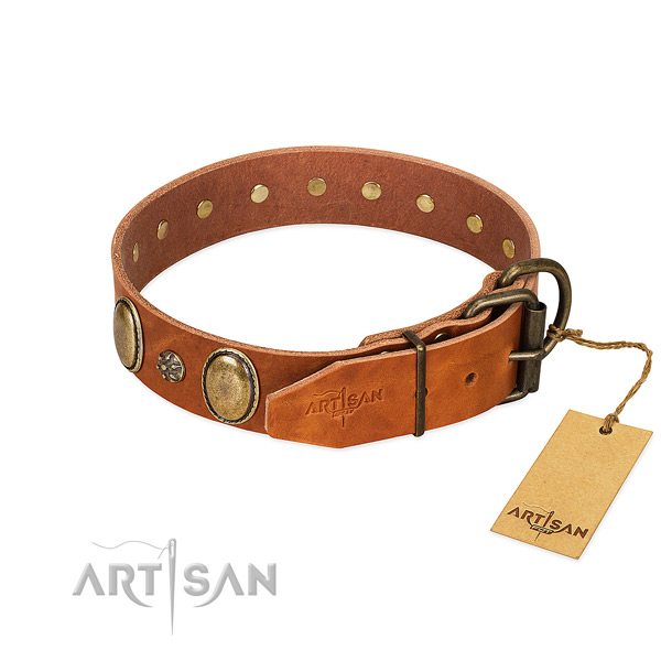 Walking best quality full grain leather dog collar