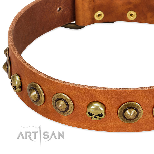 Stylish adornments on full grain natural leather collar for your four-legged friend