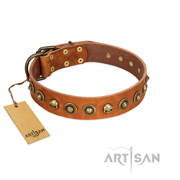 Full grain genuine leather collar with amazing studs for your dog