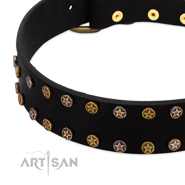 Awesome studs on full grain leather collar for your canine
