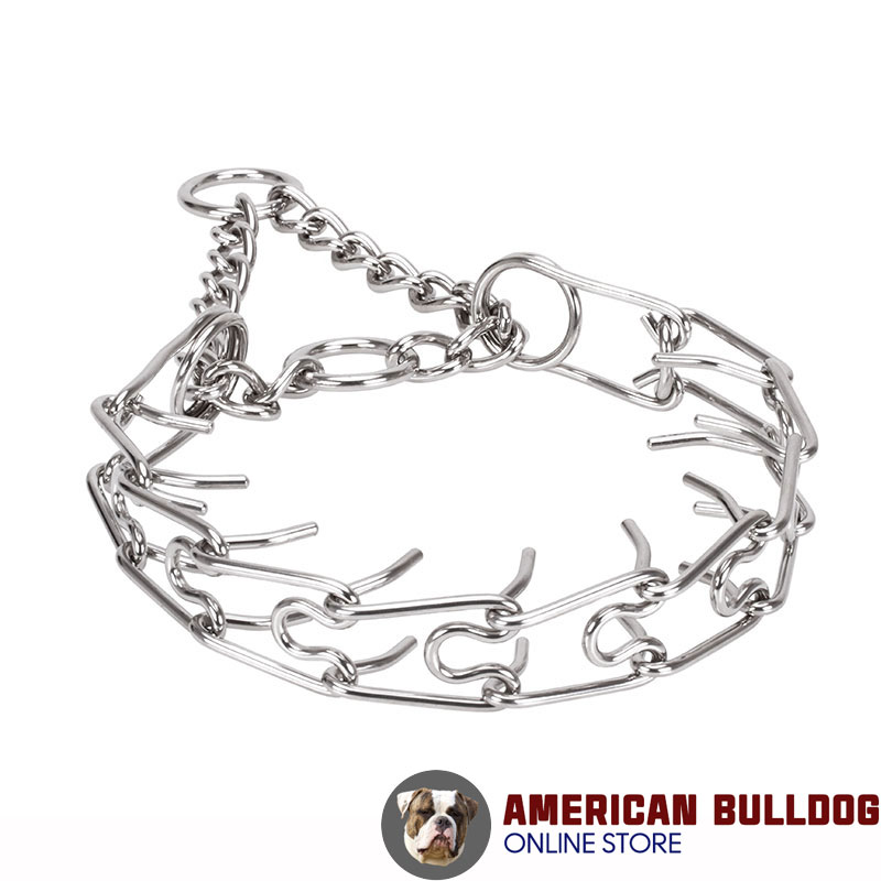 dog pinch collar links